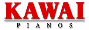 rivenditore ufficiale KAWAI